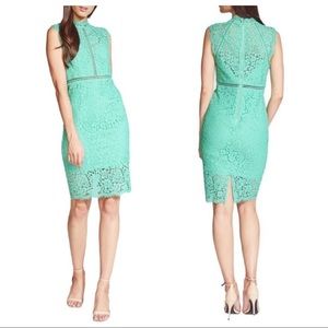 Bardot Dress Lace Sheath Cocktail Dress